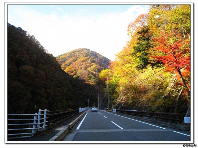 [SKYWAVE TYPE-S]奥秩父中津峡紅葉之旅