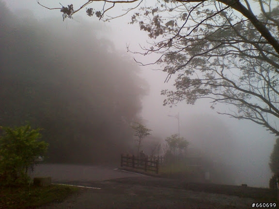 中興新村--鳳凰谷鳥園-我的pr值是多少?