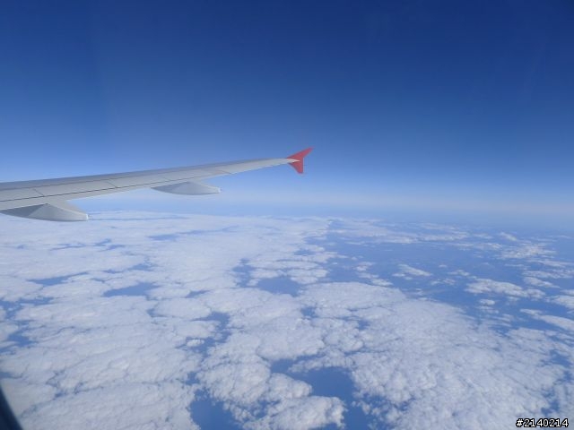 [遊記]2011員工旅遊11/10~11/14日本北海道5日遊