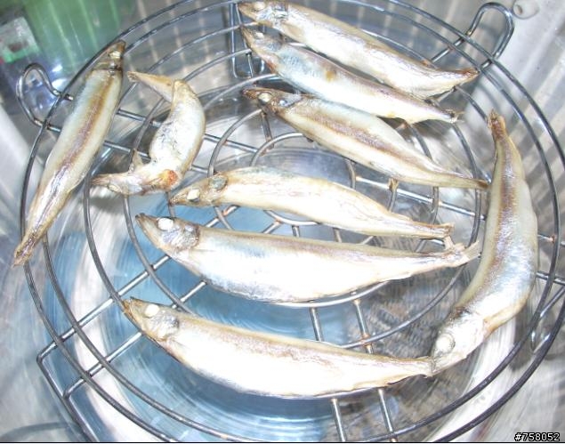 旋風烘烤鍋 pk 飛利浦氣炸鍋《新增烤虱目魚肚+僅提供影片連結》