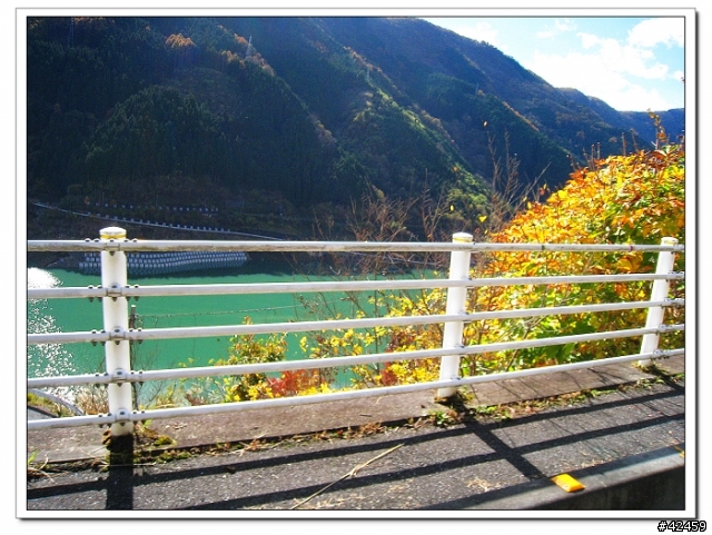 [SKYWAVE TYPE-S]奥秩父中津峡紅葉之旅