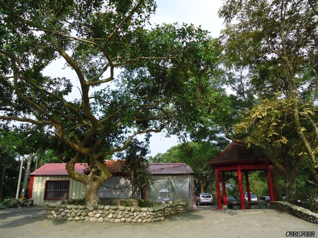 11/28悠遊台南第一高峰關仔嶺大棟山