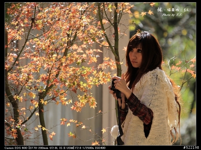 分享：2011-11-24 福壽山楓紅