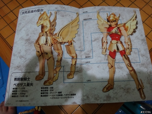 聖鬥士星矢戰記特典版…沒人要開我來開