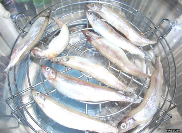 旋風烘烤鍋 pk 飛利浦氣炸鍋《新增烤虱目魚肚+僅提供影片連結》