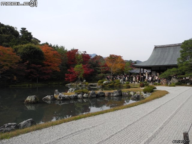 京都--嵐山 紅葉(楓葉)