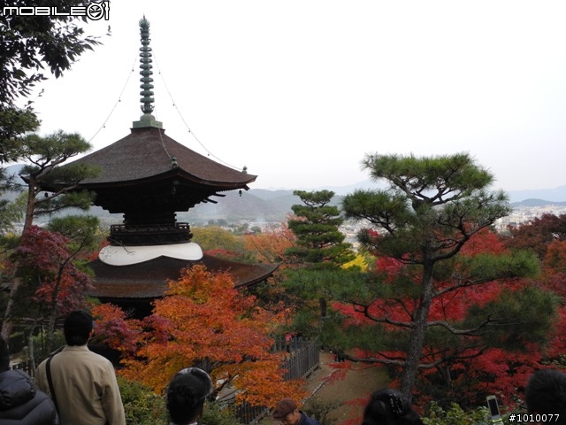 京都--嵐山 紅葉(楓葉)