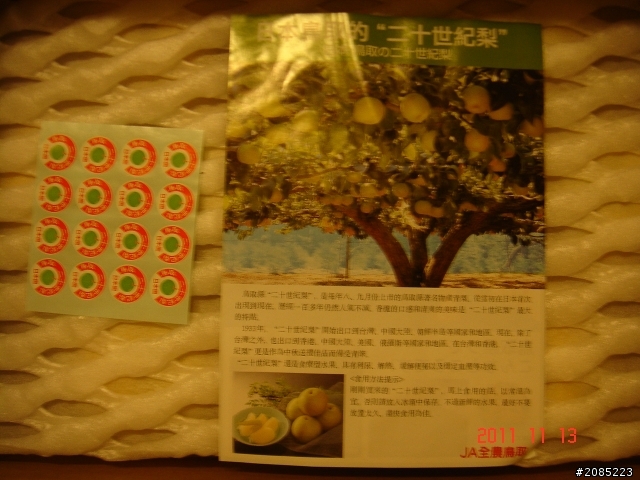 比拳頭大的鳥取梨