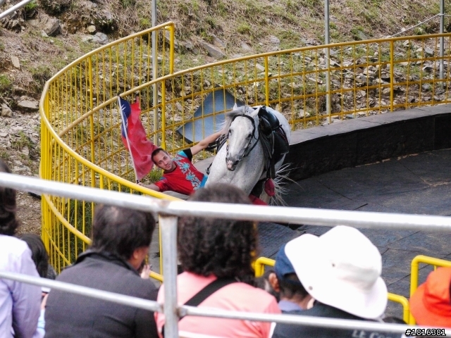 走吧 去清境數綿羊1123新增馬術表演短片