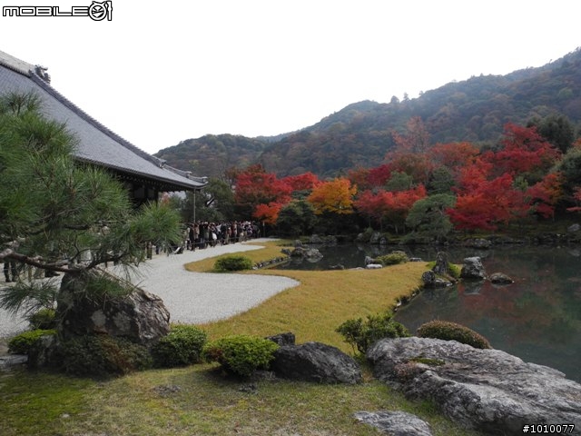 京都--嵐山 紅葉(楓葉)