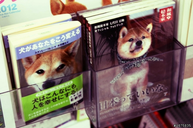 2011 日本鈴鹿F1賽&名古屋漫遊行(Canon 450D+18-55kit +小白一隻)