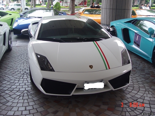 一群蠻牛加一匹馬