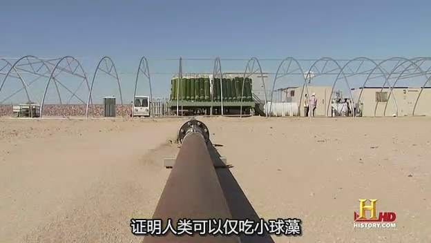 Ancient Aliens，遠古外星人，有看過嗎？