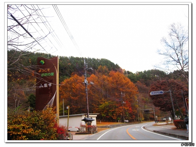 [SKYWAVE TYPE-S]奥秩父中津峡紅葉之旅