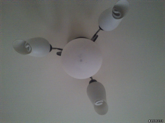 天阿,到底是我拿到機王還是?? wt19