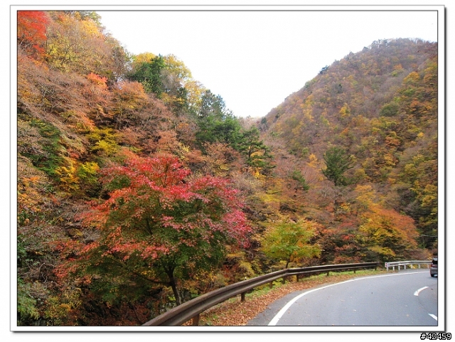 [SKYWAVE TYPE-S]奥秩父中津峡紅葉之旅