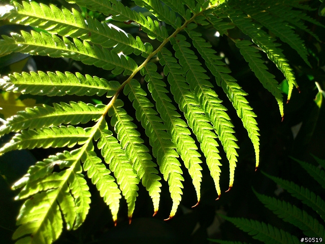 RAY_到處隨手拍 - 2