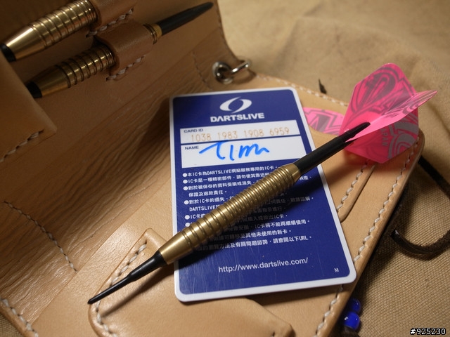手工DARTS CASE