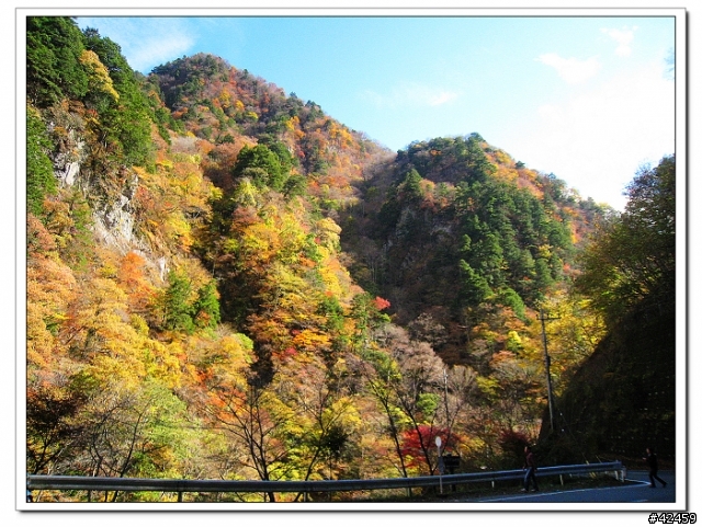 [SKYWAVE TYPE-S]奥秩父中津峡紅葉之旅