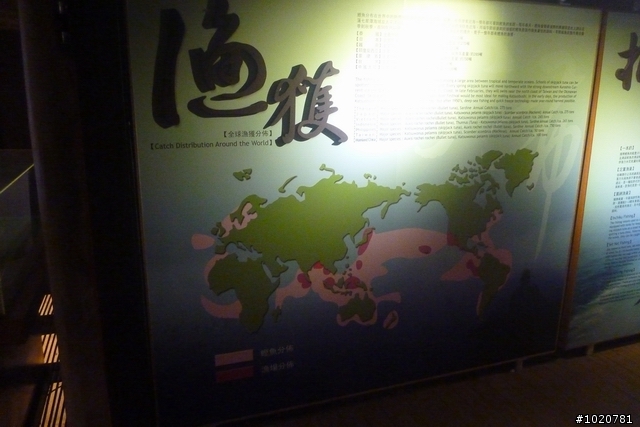 2011/11/12-15 圓夢計劃繞島行 Day 1 台北→花蓮