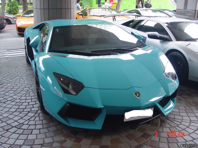 一群蠻牛加一匹馬