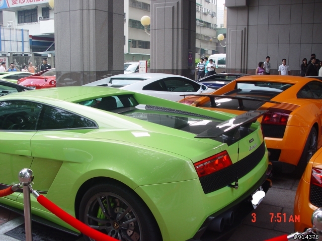 一群蠻牛加一匹馬