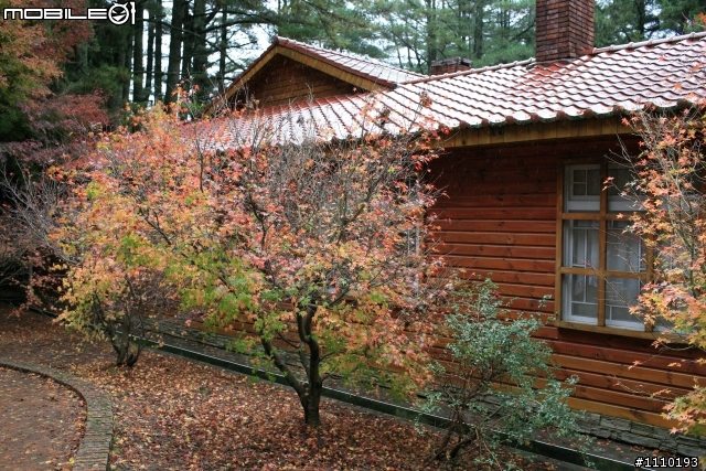福壽山簡單一日遊