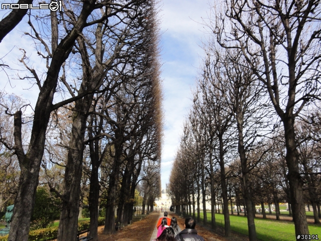 [遊記] 法比荷之旅（Day 2）龐畢度文化中心、聖母院、盧森堡公園、老佛爺百貨、巴黎夜遊（圖多，慎入）