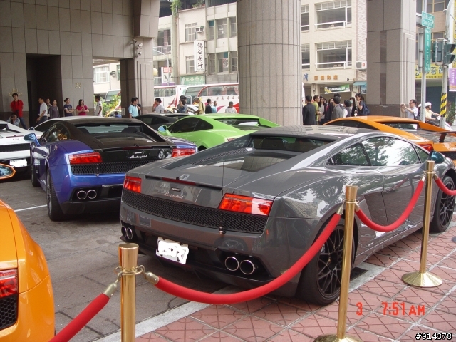 一群蠻牛加一匹馬