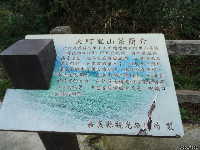 11/6阿里山之戀(登奮起湖大凍山及隙頂二延平步道)