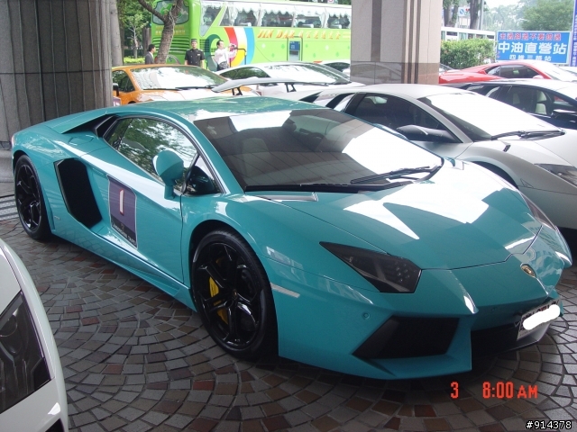 一群蠻牛加一匹馬