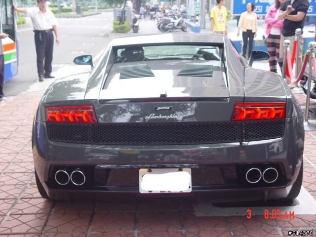 一群蠻牛加一匹馬