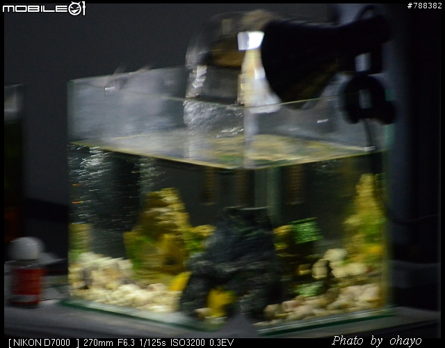 這是所謂八字不合嗎？有請高手釋疑：D7000搭配T 18-270 VC（B008）的晃動問題