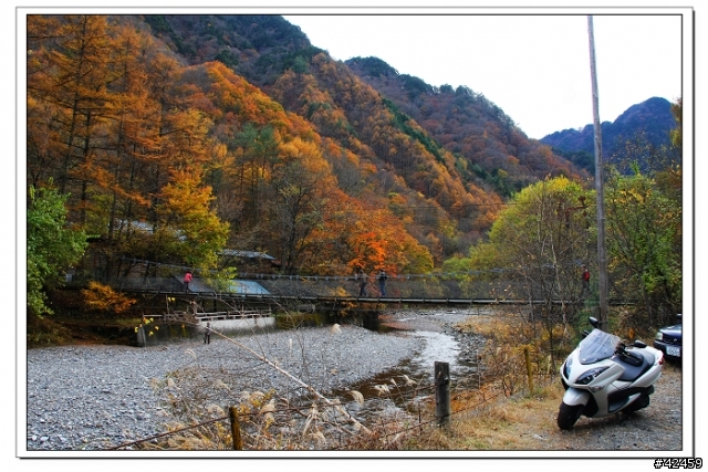 [SKYWAVE TYPE-S]奥秩父中津峡紅葉之旅
