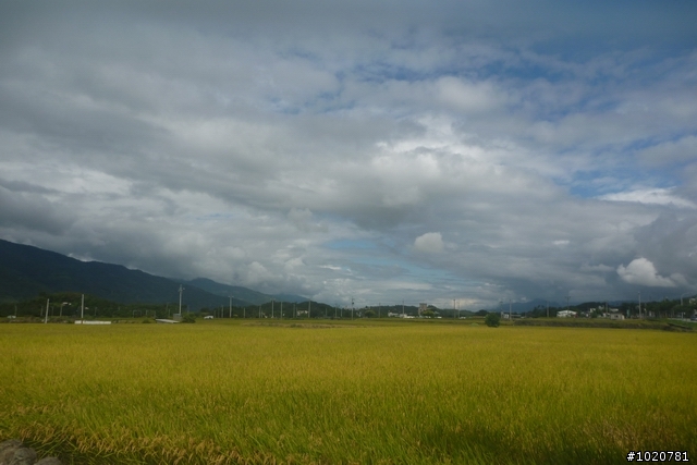 2011/11/12-15 圓夢計劃繞島行 Day 2 花蓮→屏東