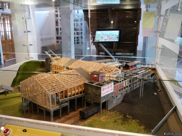 走吧 今天去瑞雙公路看貓去