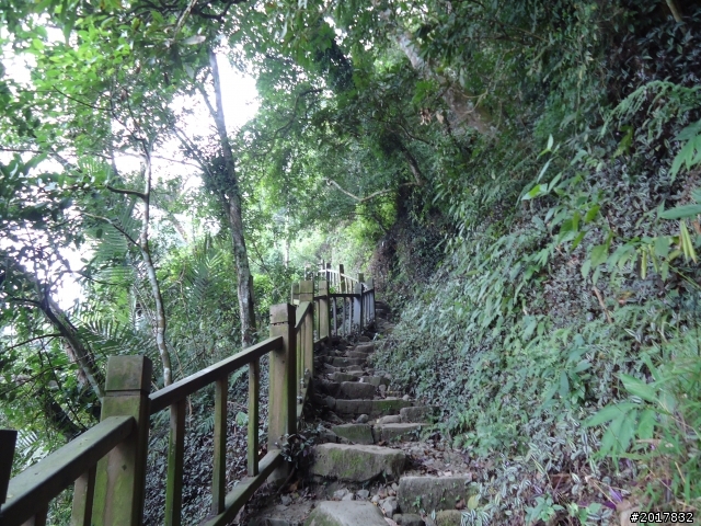 11/3南瀛之旅(東山孚佑宮崁頭山)