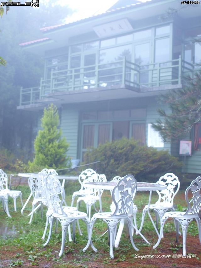 2011/11/19.20 - 狂風暴雨~福壽山"楓"情(圖多)
