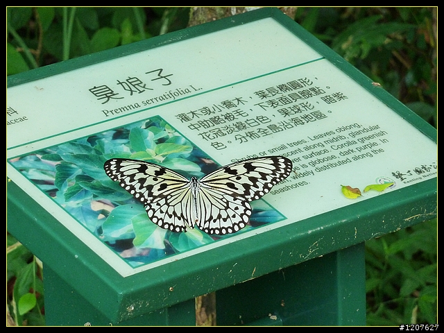 2011.11.03-04_墾丁、陽光、沙灘、比....(爆圖)來去【龍坑生態保護區】！