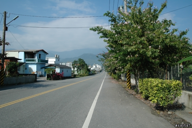 戀戀193花東單車自由行