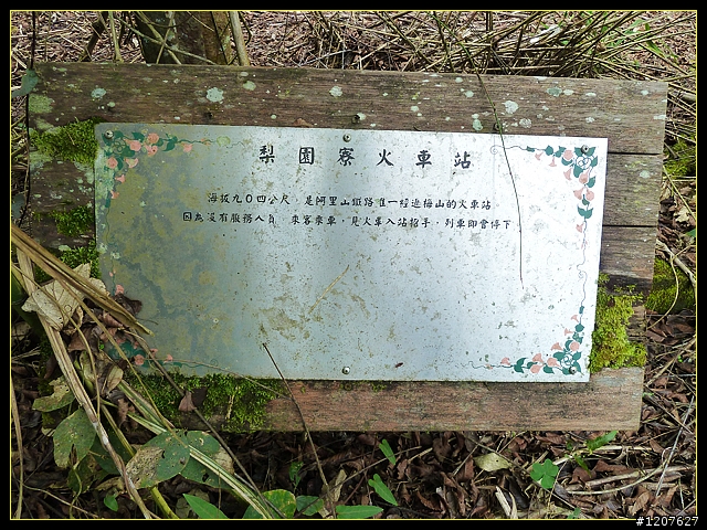 2011.12.07_首探獨立山頭-大坪山