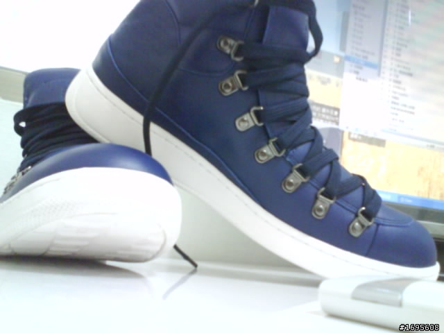 Travel Fox   _ Blue _  簡易純分享