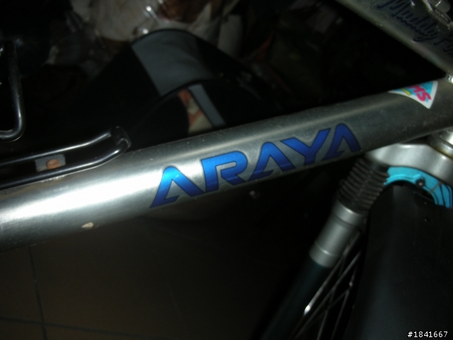 araya 登山車？請各位先知給予指點!