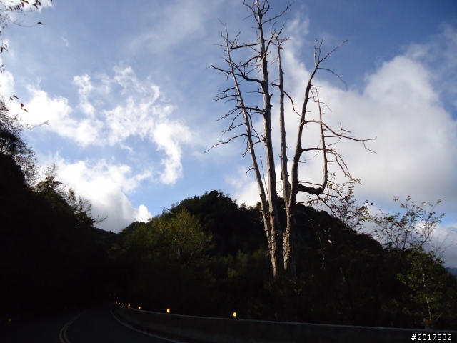 12/19冬日的塔塔加東埔山行