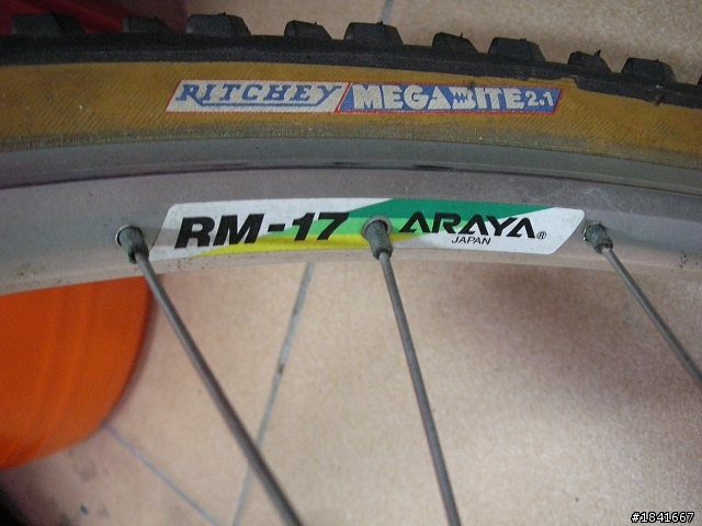 araya 登山車？請各位先知給予指點!