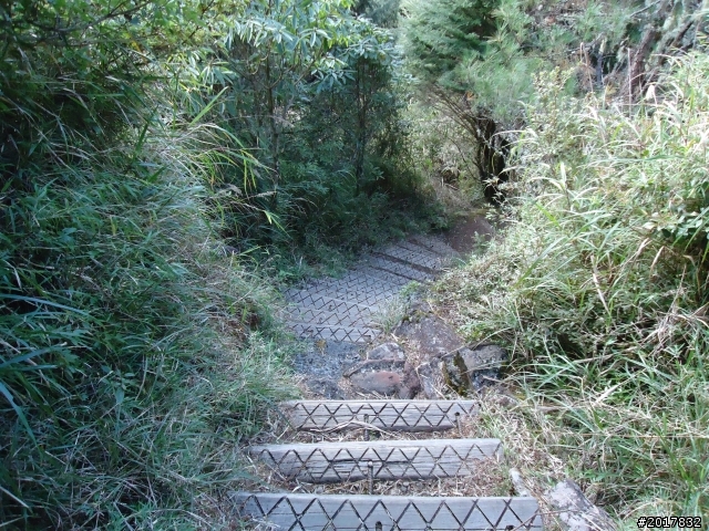 12/19冬日的塔塔加東埔山行