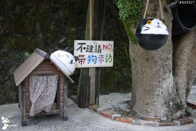 鐵道旁的寧靜貓村