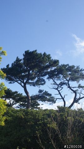 面天山+向天池....>約9KM