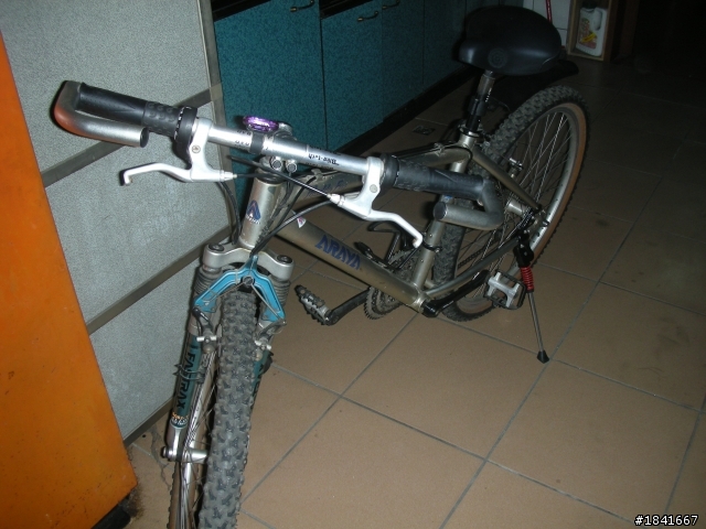 araya 登山車？請各位先知給予指點!