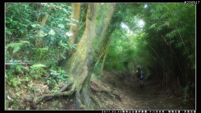 「遊記拾遺」陽明山古道 - 十八分水圳、橫嶺古道、天母古道、天母山步道